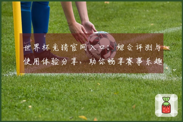 世界杯竞猜官网入口：综合评测与使用体验分享，助你畅享赛事乐趣