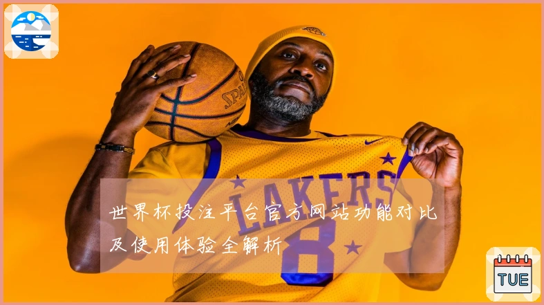 世界杯投注平台官方网站功能对比及使用体验全解析