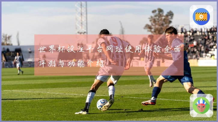 世界杯投注平台网址使用体验全面评测与功能介绍