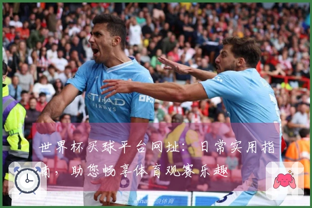 世界杯买球平台网址：日常实用指南，助您畅享体育观赛乐趣