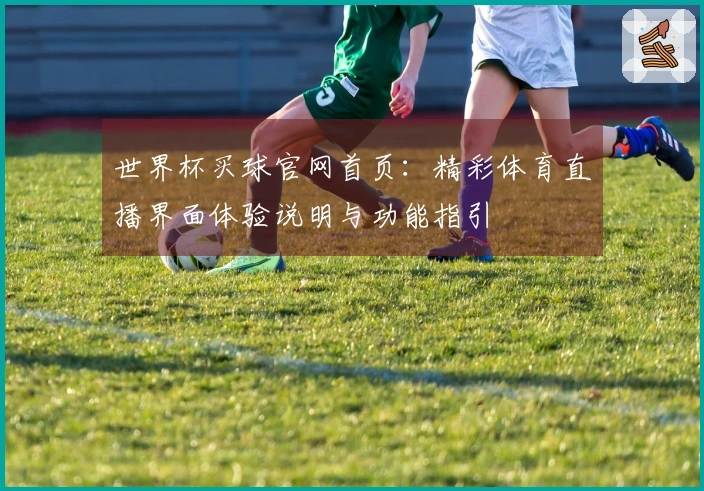 世界杯买球官网首页：精彩体育直播界面体验说明与功能指引