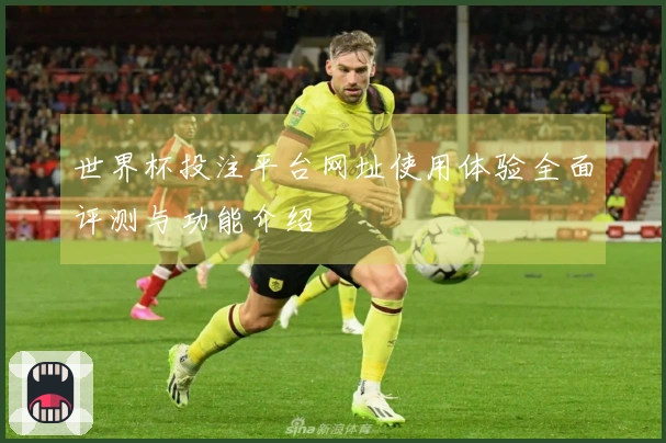 世界杯投注平台网址使用体验全面评测与功能介绍