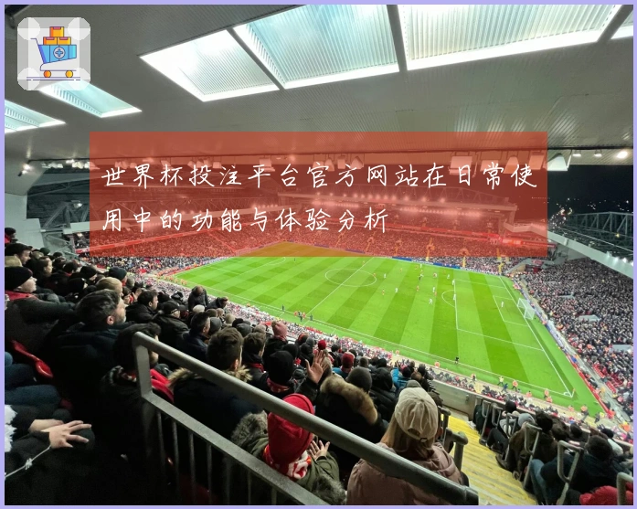 世界杯投注平台官方网站在日常使用中的功能与体验分析