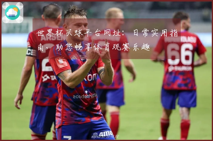 世界杯买球平台网址：日常实用指南，助您畅享体育观赛乐趣