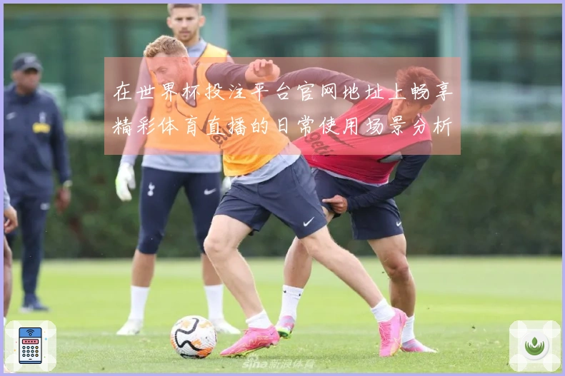 在世界杯投注平台官网地址上畅享精彩体育直播的日常使用场景分析