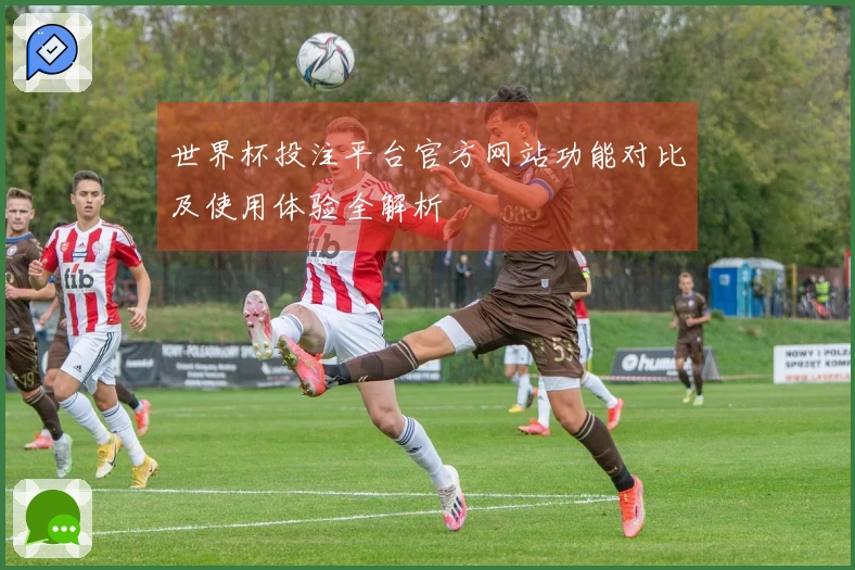 世界杯投注平台官方网站功能对比及使用体验全解析