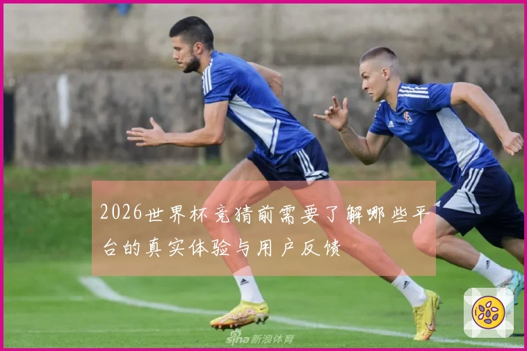 2026世界杯竞猜前需要了解哪些平台的真实体验与用户反馈
